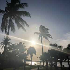 Traded-Louis Vuitton Beige and Brown Checkered Bag